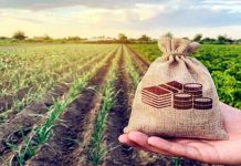 ঝিনাইদহের সাড়ে ৪ হাজার কৃষক কৃষিঋণ থেকে মওকুফ পেয়েছে