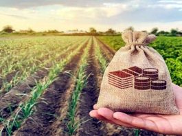 ঝিনাইদহের সাড়ে ৪ হাজার কৃষক কৃষিঋণ থেকে মওকুফ পেয়েছে