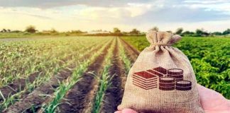 ঝিনাইদহের সাড়ে ৪ হাজার কৃষক কৃষিঋণ থেকে মওকুফ পেয়েছে