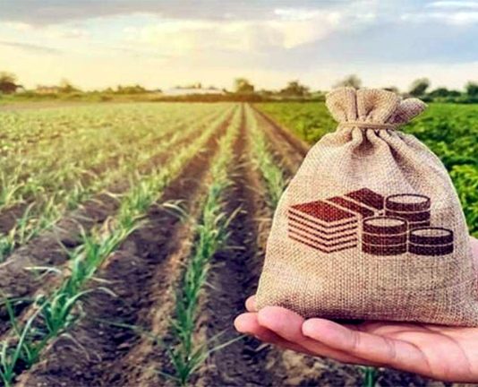 ঝিনাইদহের সাড়ে ৪ হাজার কৃষক কৃষিঋণ থেকে মওকুফ পেয়েছে