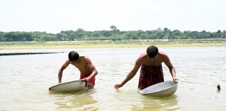 ছাইয়ের ভিতর সোনা