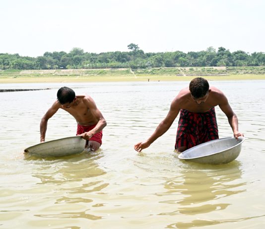 ছাইয়ের ভিতর সোনা