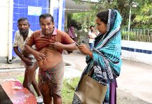 কুকুরের কামড়ে শিশুসহ আহত ১২ জন