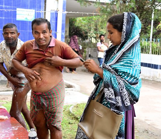কুকুরের কামড়ে শিশুসহ আহত ১২ জন