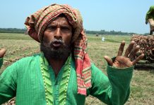 ষাঁড় বিক্রির টাকায় পেঁয়াজ চাষ করে বাছুরও কিনতে পারবে না আবু জাফর