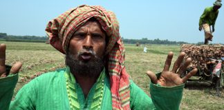 ষাঁড় বিক্রির টাকায় পেঁয়াজ চাষ করে বাছুরও কিনতে পারবে না আবু জাফর