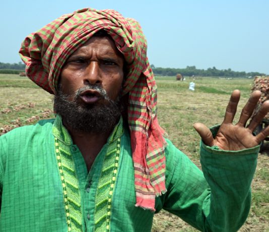 ষাঁড় বিক্রির টাকায় পেঁয়াজ চাষ করে বাছুরও কিনতে পারবে না আবু জাফর