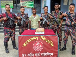 কুষ্টিয়া সীমান্ত থেকে গাঁজাসহ এক মাদক কারবারি আটক