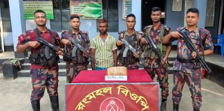 কুষ্টিয়া সীমান্ত থেকে গাঁজাসহ এক মাদক কারবারি আটক