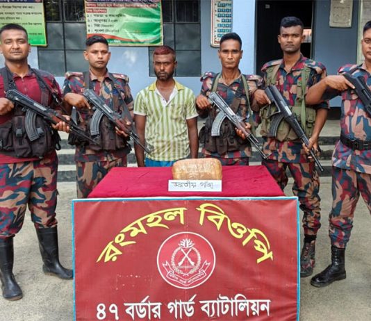 কুষ্টিয়া সীমান্ত থেকে গাঁজাসহ এক মাদক কারবারি আটক