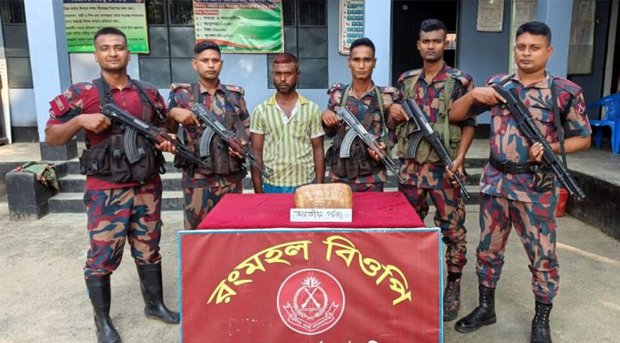 কুষ্টিয়া সীমান্ত থেকে গাঁজাসহ এক মাদক কারবারি আটক