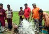 পোড়া মবিল দিয়ে তৈরি হচ্ছে বিকল্প ডিজেল তা দিয়ে মেশিন চলছে
