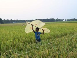 ঘুড়ি