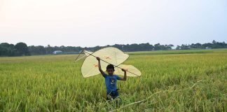 ঘুড়ি