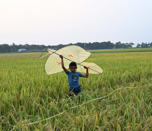 ঘুড়ি